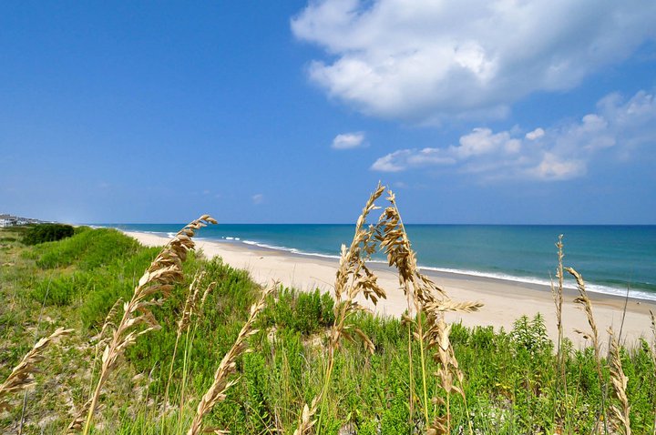 Pine Island Reserve