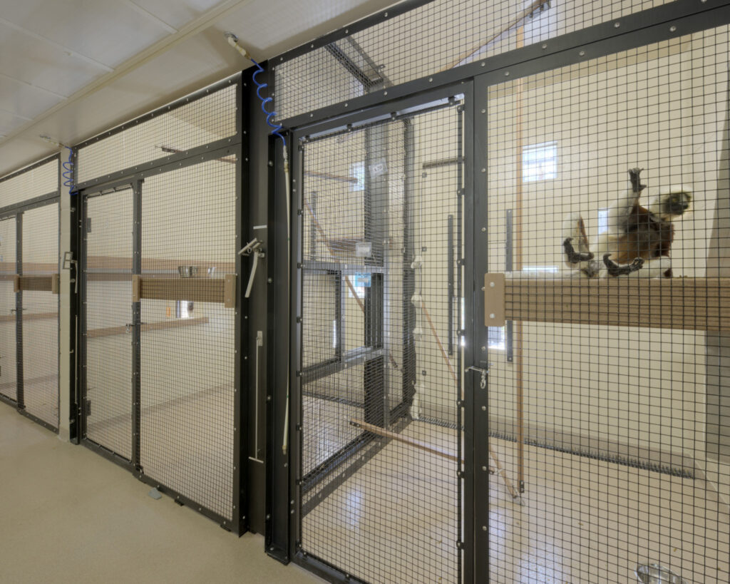 Duke Lemur Center Habitat Interior