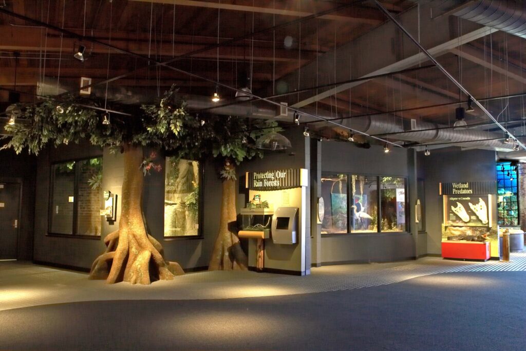 Rainforest Exhibit with Trees