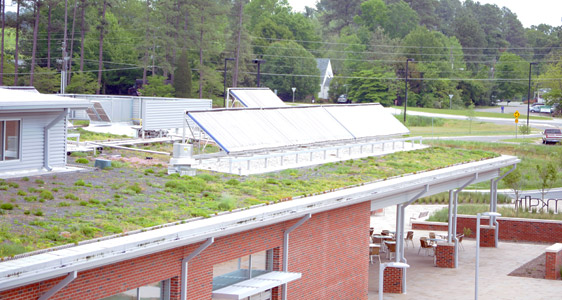 Solar Panels on Green Roof